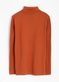 Pure Cotton Roll Neck Top 7 Pure Cotton Roll Neck Top -The Edinburgh Woollen Mill 64812pvl 1b1aa52d62708b0